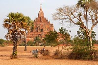 Myanmar Birmanie experience : temple Htilominlo, Bagan